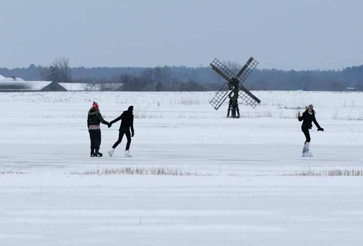 Schaatsen blijft mogelijk in Waalenburg Ook realiseren we verschillende stopplaatsen voor vogelaars. De maximumsnelheid moet flink omlaag.