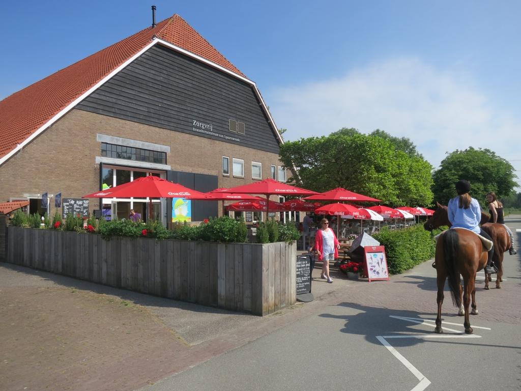 Tekst en foto s Joop Duijs Ruim 5000 jaar geleden lag de kustlijn van Nederland bij het huidige dorpje