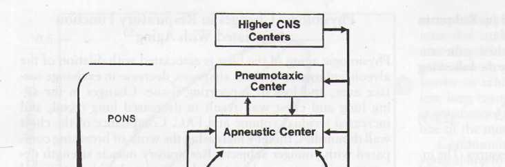 RESPIRATOIRE