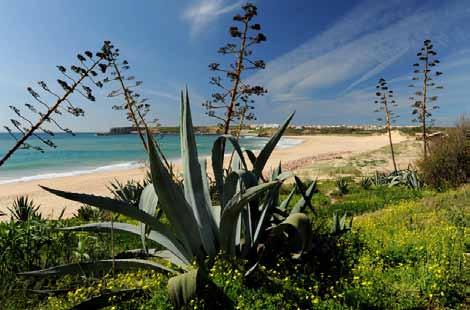 MARTINHAL BEACH RESORT & HOTEL BELOOFD ÉÉN VAN DE FIJNSTE LUXERESORTS VAN EUROPA TE WORDEN.