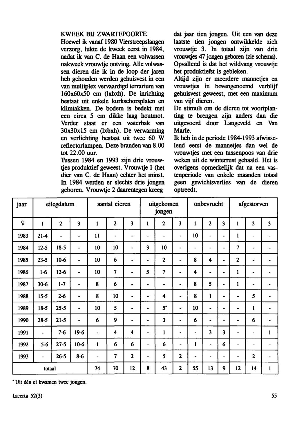 KWEEK BU ZWARfEPOOKfE Hoewel ik vanaf 1980 Vierstreepslangen verzorg, lukte de kweek eerst in 1984, nadat ik van C. de Haan een volwassen nakweek vrouwtje ontving.