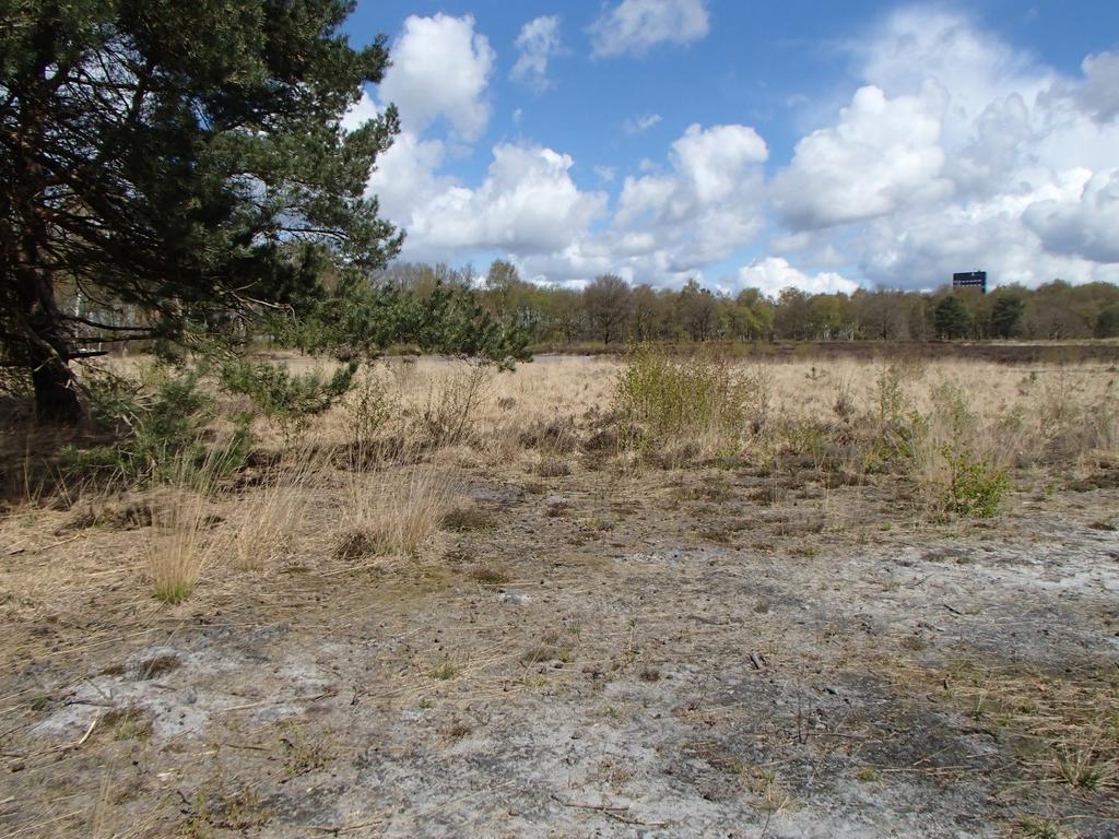 Broedvogels van de bossen rond Assen in 2016 1. Inleiding In 2016 zijn op verzoek van de Unie van Bosgroepen de bossen in en rond Assen (246 ha) in Noord- Drenthe gekarteerd op broedvogels.