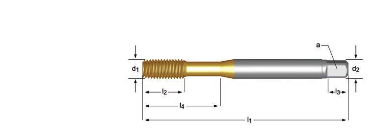 E288 MF Machineroltappen E288 E288 E288 M5 - M12 l 1 l 2 d 2 l 3 l 4 P Ø a E288 MF z 5 0.50 70 13 6.0 4.9 8 5 4.8 25 E288M5X.5 6 0.75 80 15 6.0 4.9 8 5 5.7 30 E288M6X.75 8 1.