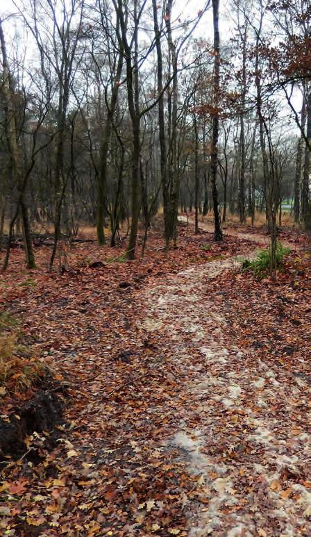 Daarom heeft de commissie na afloop van de vergadering op 15 oktober een excursie door het gebied gemaakt om de uitgevoerde werken te bekijken.