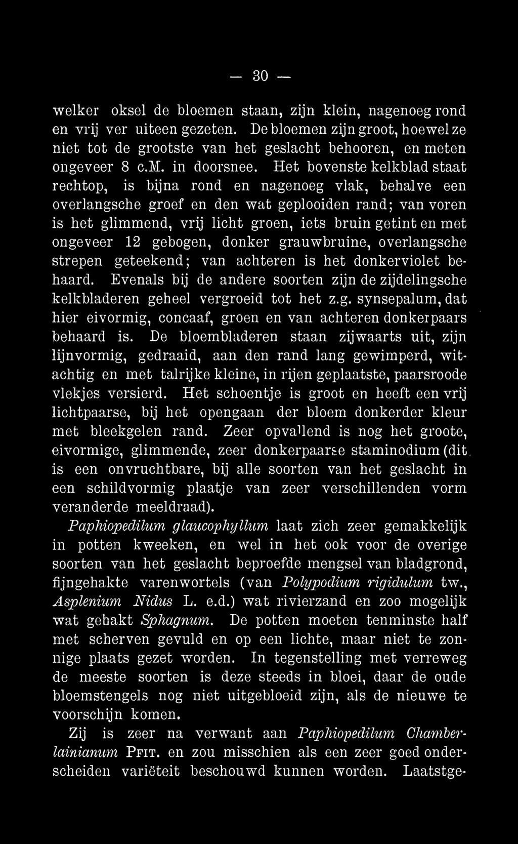 ongeveer 12 gebogen, donker grauwbruine, overlangsche strepen geteekend; van achteren is het donkerviolet behaard.