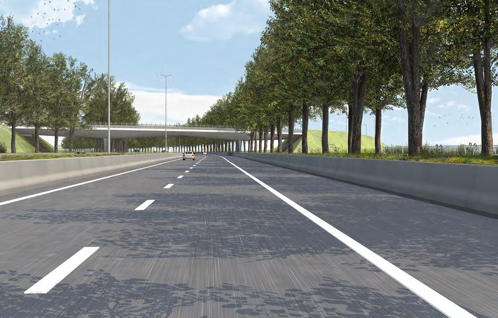 N49 ALS STRUCTURERENDE AS zicht vanaf de N49 rijdend richting