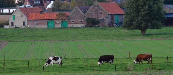 Journées Fermes Ouvertes Participez! Marché du Terroir Streekproductenmarkt telier / workshop : upcycling - textile / textiel 15 / 06 16 > 19 Place Kasiers / Kasiersplein gouteraujardin.