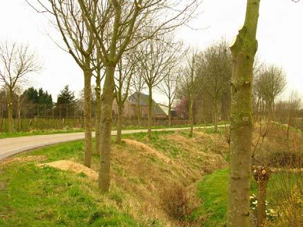 Weg- en bermbeplanting WS (groenstructuur) Indiener: Waterschap Zeeuwse Eilanden Investeringen: