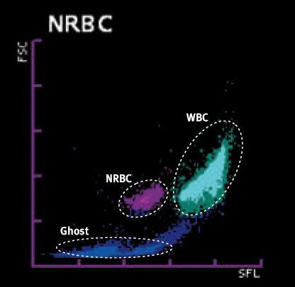 RBC Reagens: WBC