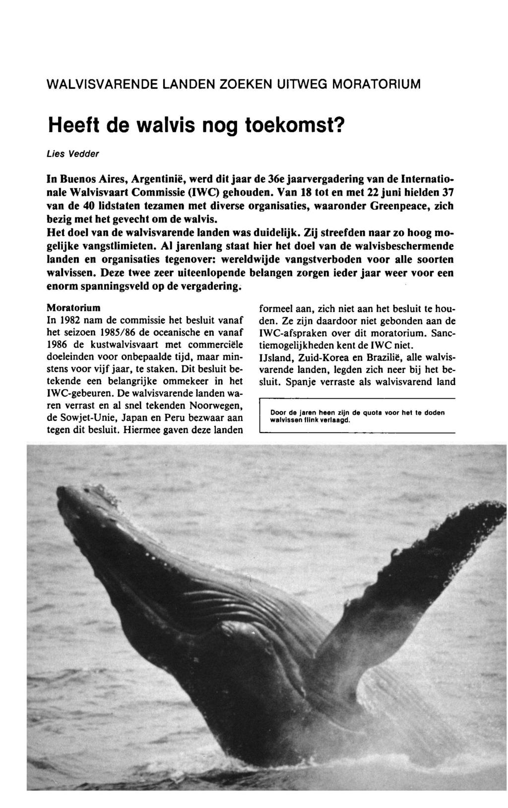 Walvisvarende landen zoeken uitweg moratorium Heeft de walvis nog toekomst?