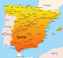 4e en 5e dag Madrid Sevilla Per ave hogesnelheidstrein in drie uur van Madrid naar Sevilla. Twee overnachtingen in hotel Sevilla Center.