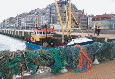 3 3.5 ZEEVISSERIJ De cel Zeevisserij heeft als opdracht het continue opvolgen van het gemeenschappelijke visserijbeleid, voornamelijk het markt- en prijsbeleid, het quotabeheer, de