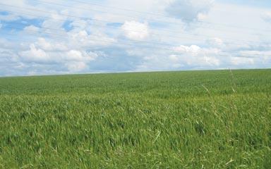 4 4.3.2 EU-UITBREIDING: IMPACT OP DE VLAAMSE LAND- EN TUINBOUW Met de uitbreiding van de EU op 1 mei 2004 zet Europa een grote stap vooruit op vlak van diversiteit.