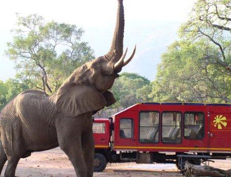 in Kosi Bay Bushwandeltochten in Swaziland Snorkelen en duiken aan de