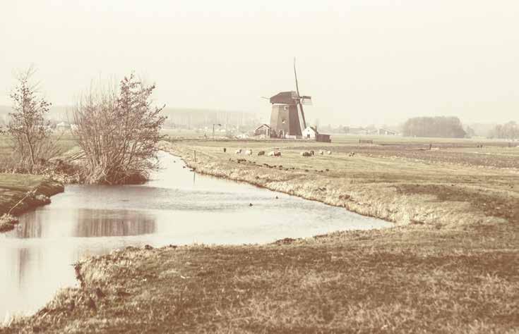 Wonen op historische grond Wist u dat u straks in Hof van Oostvaert woont op een