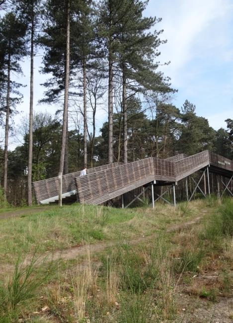 Om het nieuwverworven bosgebied toegankelijker te maken, besloot de vzw Kempens Landschap een voetgangersbrug te bouwen over de drukke verkeersweg Westerlo- Zoerle-Parwijs.