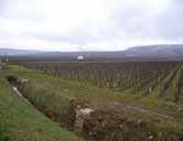 De meeste basiswijnen kunnen prima een jaar of drie mee, de Village wijnen een jaar of twee langer en de beste premier Cru s halen zeker een jaar of 8 tot 10, de Grand Cru s zullen gemakkelijk 13 tot