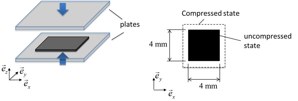 Question 9 (10 points) A thin sample of a soft material of 441 [mm] in size is compressed by a force of 160 [N] in the z-direction between two rigid plates.