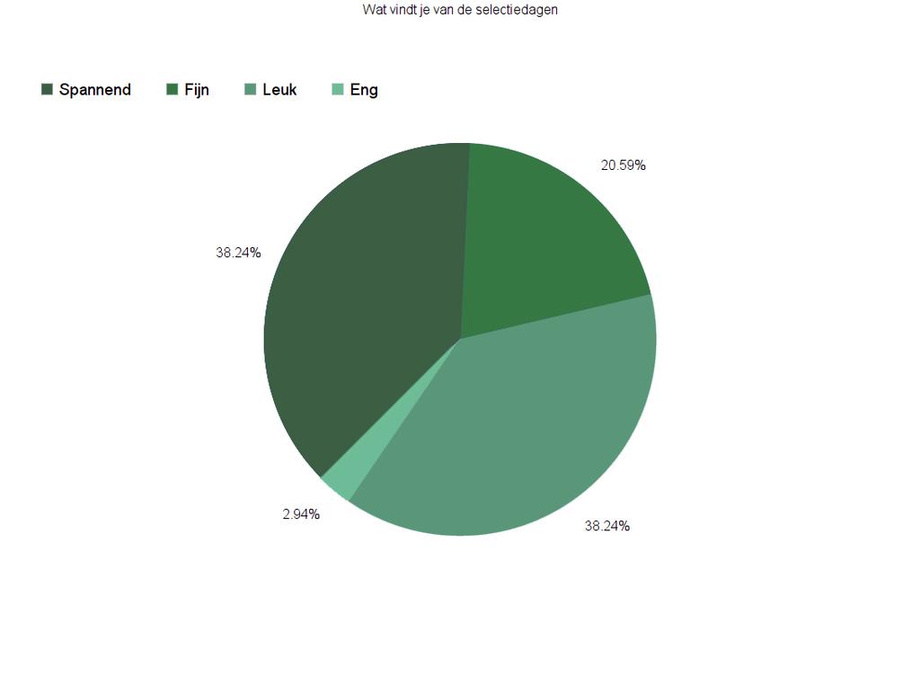 2. Cirkeldiagram antwoorden cliënten Wat vind je van de selectiedagen? Fijn omdat ik schilderijen leuk vind. Spannend omdat nog niet precies moest verwachten. Spannend en leuk er tussen in.