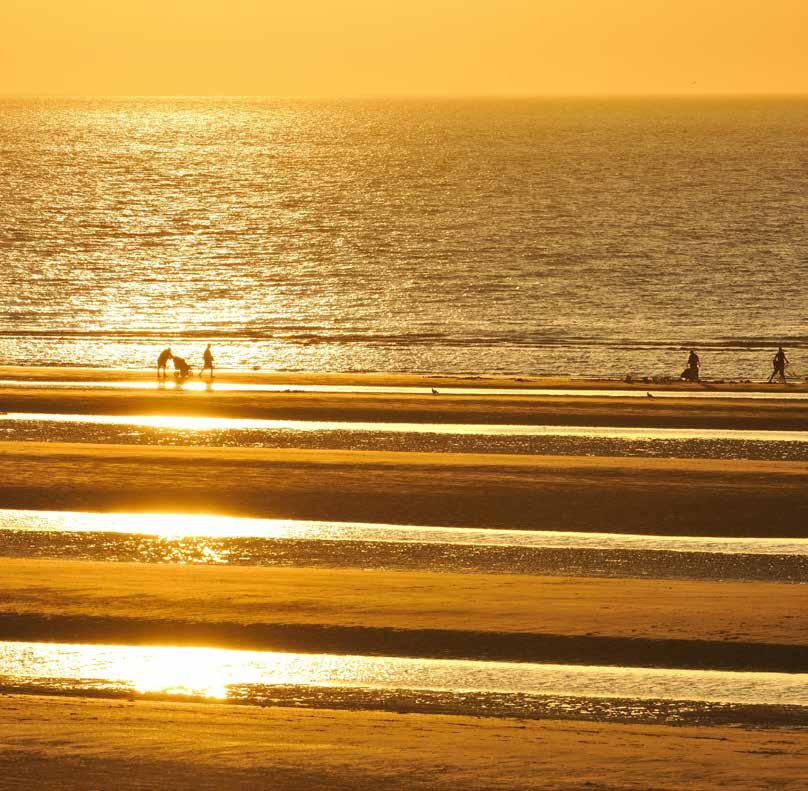 Een gouden investering met een zilveren randje Vergrijzing en ouderenzorg aan de kust Net als vele andere kuststeden kent Oostduinkerke een sterke vergrijzing.