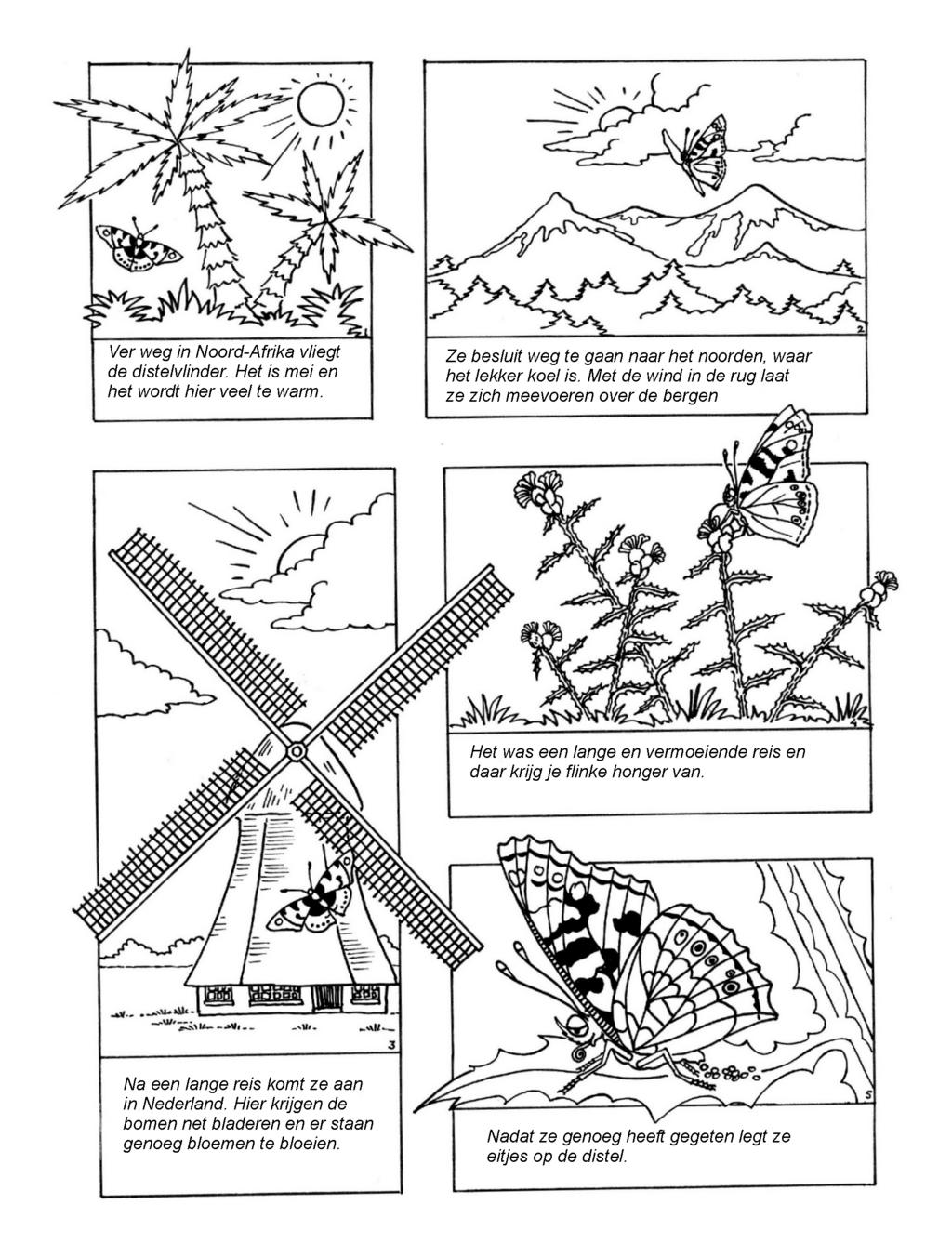 Vlinderlessen in de klas Werkblad 12a De distelvlinder op reis 56 De Vlinderstichting 2015