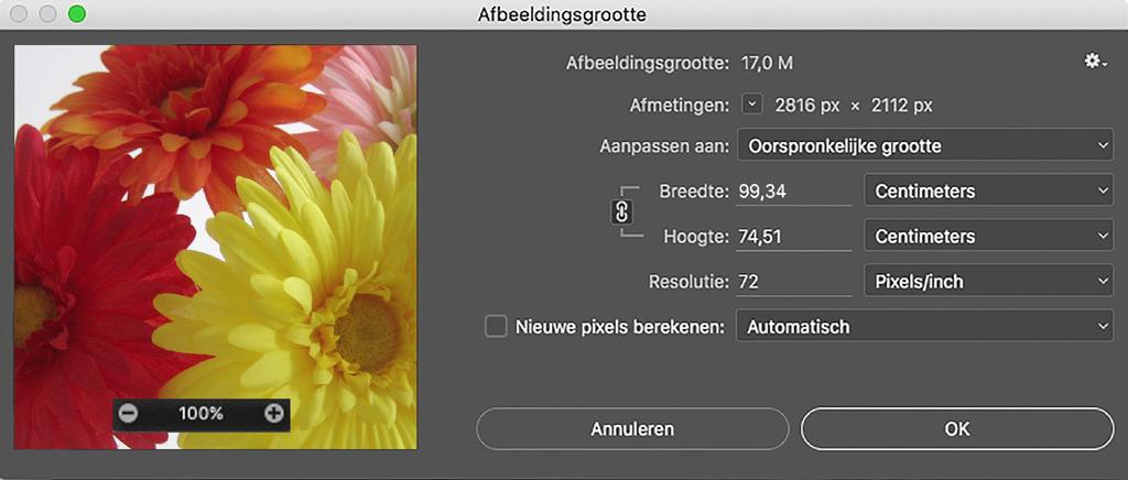 Breedte: en bij Hoogte: voor Centimeters U ziet nu in het venster dat de afbeelding 99,34 x 74,51 centimeter groot is bij een resolutie van 72 pixels/inch.