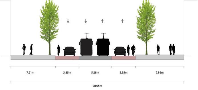 Ter plaatse van de haltes levert dit in combinatie met een bredere halte en een voldoende breed fietspad een direct conflict op met de opgave om bomen zoveel mogelijk te behouden.