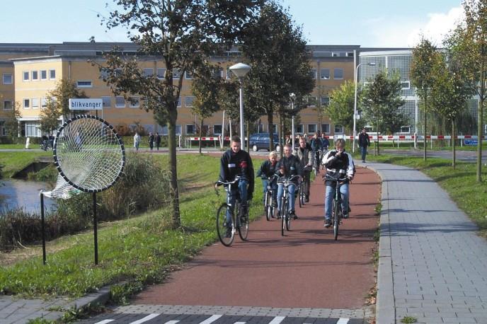 Foto 4.25 Vrijliggend fietspad met eigen verlichtingsinfrastructuur Fietswegen - Op fietswegen wordt een verlichting die een hoge kleurherkenbaarheid waarborgt sterk aanbevolen.