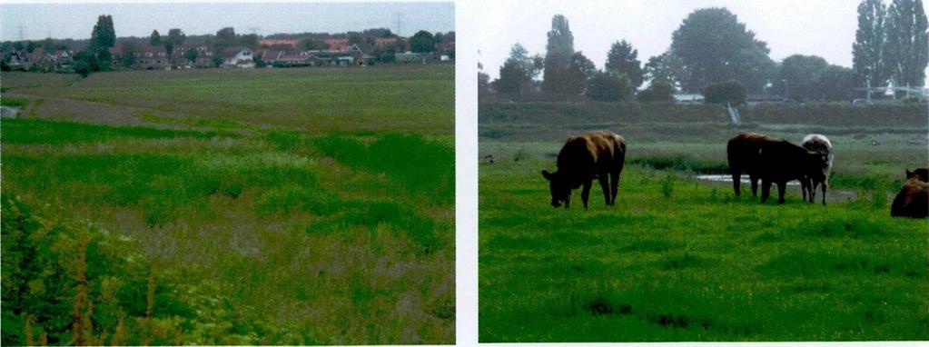 De dijk is veelal met de lokaal aanwezige materialen opgebouwd, op hoogte gehouden en na doorbraken gerepareerd. Bij boringen in het dijklichaam wordt de gebrekkige opbouw duidelijk.