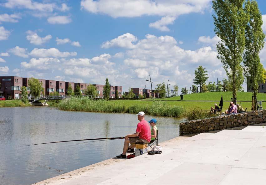 Er zijn verschillende speelplekken in de wijk én natuurlijk het Schoenmakerspark: een doe- en speelpark met een grote