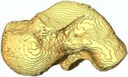 Hoofdstuk 7. Segmentatieprogramma s 104 Stap 4 : Een slicegewijze 3D-representatie van alle segmentaties kan uitgevoerd worden met Isosurface (Bijlage F.3). Figuur 7.