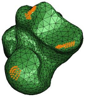 Daarom werd de piste van Abaqus/Standard in eerste instantie ook beschouwd. Er werd een model gebouwd van het scheenbeen en het sprongbeen met het kraakbeen ertussen (Figuur 9.7).