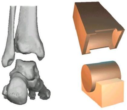 Hoofdstuk 2. Anatomie en Biomechanica 41 Referenties in de literatuur benadrukken ook de variatie van stijfheid van de ligamenten [27] [48].