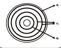 9 Bestimmen Sie die Position des Fallrohrs und schneiden Sie ein Loch in die EPDM-Folie von ± Ø 3 cm 10 Drücken Sie das Fallrohr in das Loch, bis die runde