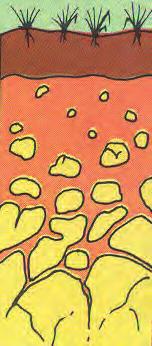 Humus mengt zich met minerale bodemdeeltjes waardoor aan het oppervlak een bodemhorizont ontstaat met een donkere kleur.