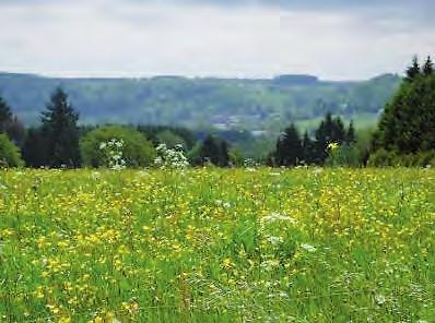 3.3 De socioculturele functies van de bodem Diversiteit van landschappen De bodem en de planten vormen specifieke gemeenschappen (associaties) die het uitzicht van onze streken bepalen.