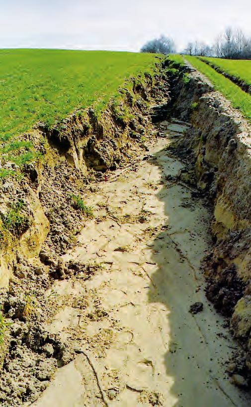 4. EROSIE Erosie is het fenomeen van loskomen en transport van bodemdeeltjes door diverse actoren, voornamelijk water en wind. We spreken dus van water- of winderosie.