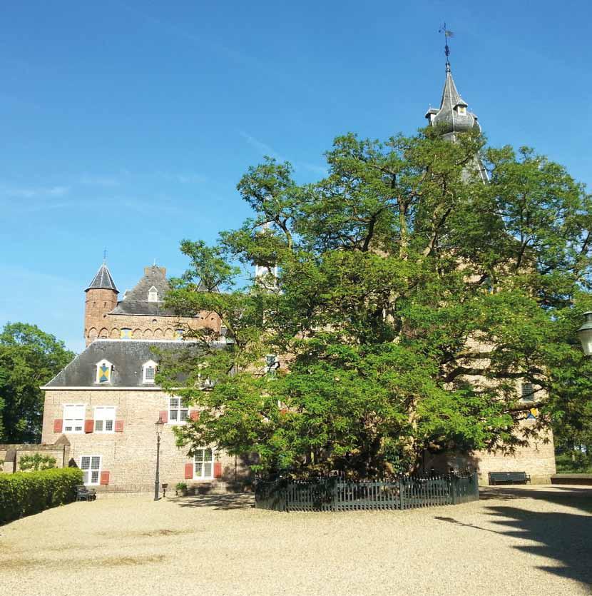 De heer van stan bij Kasteel Doorwerth Het geslacht Robinia Deel II Het geslacht Robinia heeft twee gezichten.