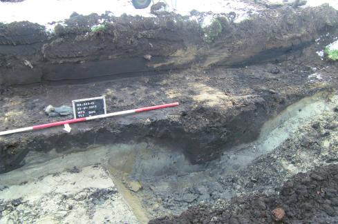 Vermoedelijk hebben de greppels deze beemdenweg geflankeerd. In het profiel van de werkputten is gezocht naar resten van het dijklichaam maar hiervan waren geen sporen meer aanwezig.