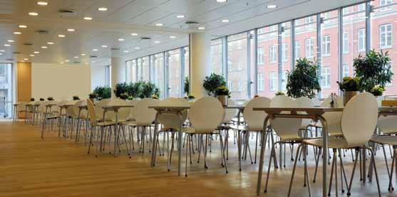 Versiering Eenvoudige en goedkope decoratieve elementen kunnen de uitstraling en de gezelligheid van een restaurantzaal aanzienlijk veranderen: bakken met natuurlijke of kunstplanten; tafellinnen of