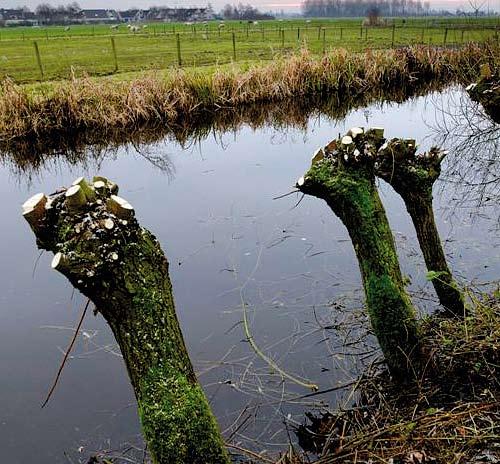 Voor veel sectoren een lastig jaar Nederlandse economie in diepe recessie De Nederlandse economie gleed aan het einde van 2008 weg in een diepe recessie.