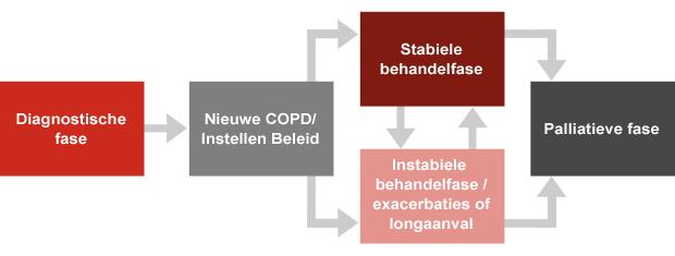 Hoofdstuk 1 Zorgprogramma COPD Het doel van het zorgprogramma COPD is het streven naar goede luchtwegcontrole bij de patiënt.