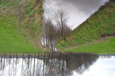 Knelpunten bij het bereiken van het streefbeeld Het belangrijkste knelpunt bij het bereiken van een gevarieerde en evenwichtig opgebouwde visstand is het periodiek droogvallen van deze beek.