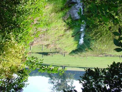 Vissen in het beheersgebied van het Waterschap Aa en Maas Knelpunten bij het bereiken van het streefbeeld De Campagnebeek heeft in de huidige staat de kenmerken van een sloot.