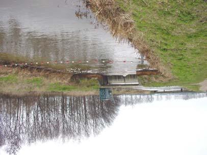 Stichting RAVON & Natuurbalans - Limes Divergens Migratieknelpunten De Hertogswetering is een kunstmatige watergang. Als streefbeeld is gekozen voor een visstand behorende bij kanaal (< 4 meter diep).