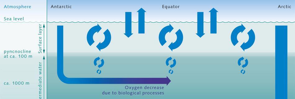 Verklaringen: Abiotisch Gaswisseling & mixing - Uitwisseling van gassen aan het oceaan-oppervlak - Goede mixing, tot
