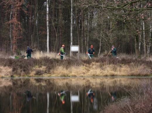 4.2 Herstel en instandhouding van de natuur in Bosland 4.2.1 Natuurbeheer openbare bossen De belangrijke natuurverbindingen zijn ook in 2016 weer prima beheerd door de groenjobs via De Winning.
