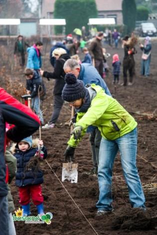 Bosplantacties - 13, 20 en 27 november Het feestjaar werd in november afgesloten met drie bosplantacties, waarbij maar liefst 10.000 inheemse bomen en struiken werden geplant.