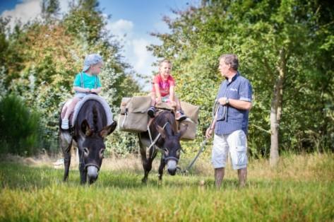 Ezelswandelingen Via t Ezelsbrugske uit Overpelt biedt men de mogelijkheid om Bosland met een ezel te verkennen.