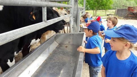 kinderboerderij.